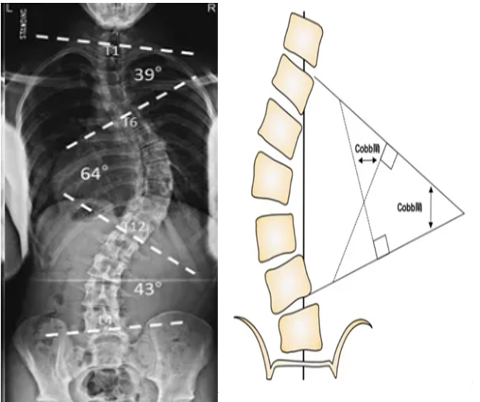 屏幕截圖 2024-05-17 093742 屏幕截圖 2024-05-17 093742